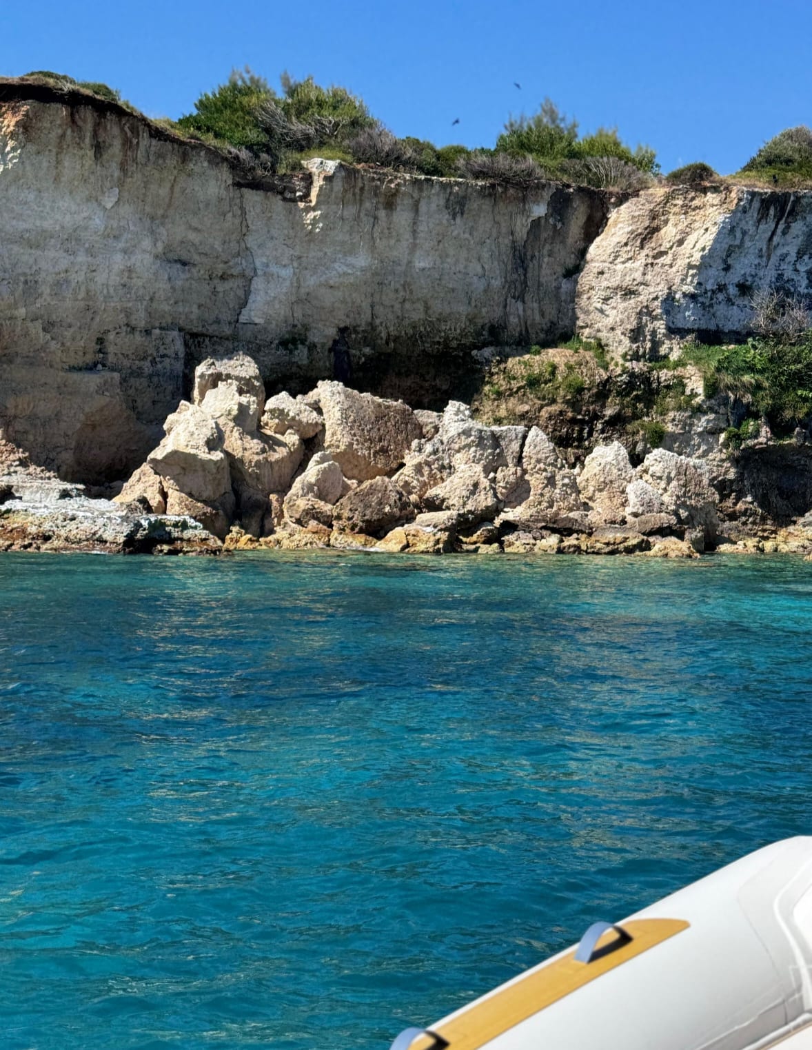 Costa adriatica, escursione privata Nord Estesa