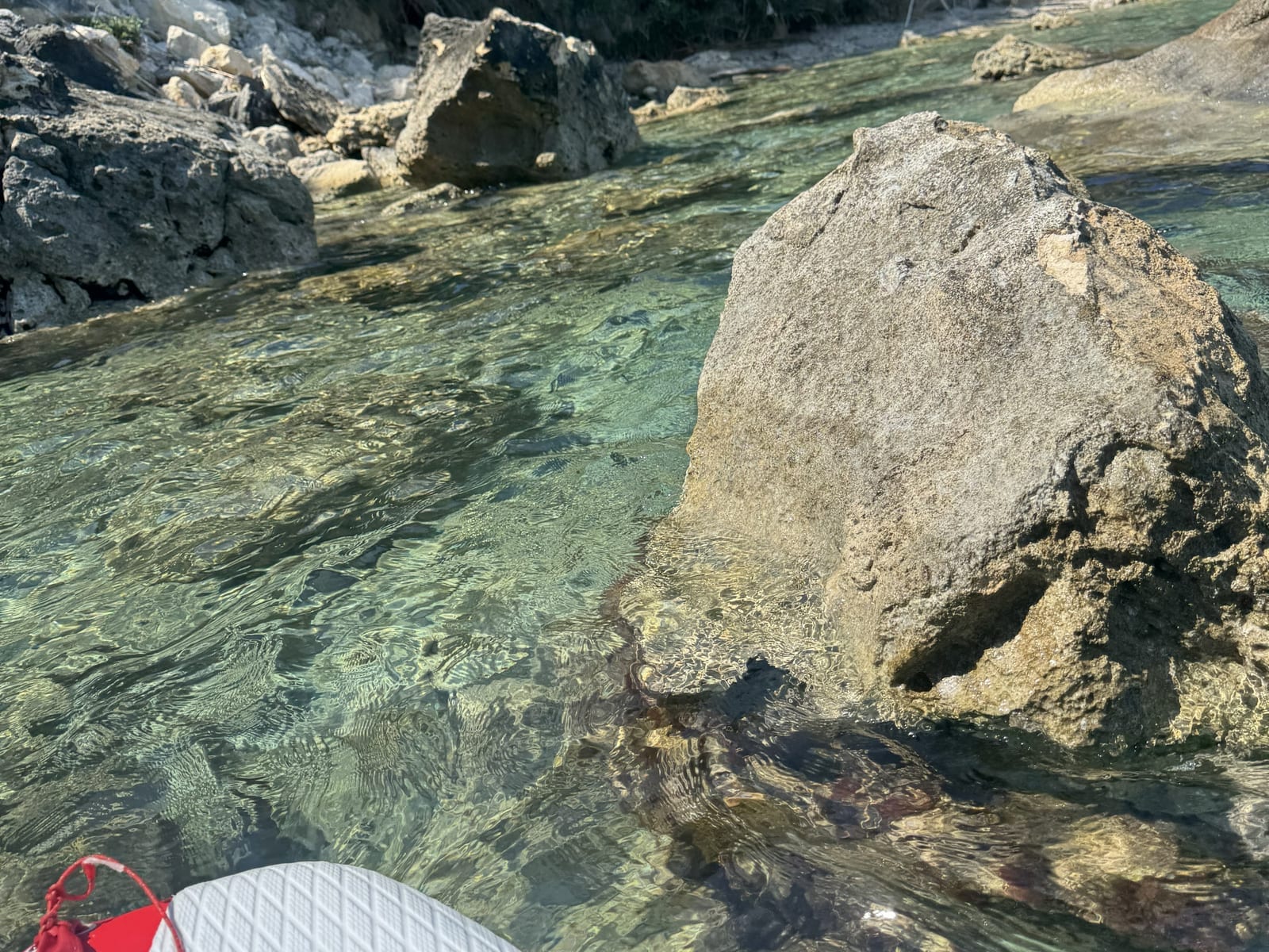 Costa adriatica, escursione privata Nord Estesa