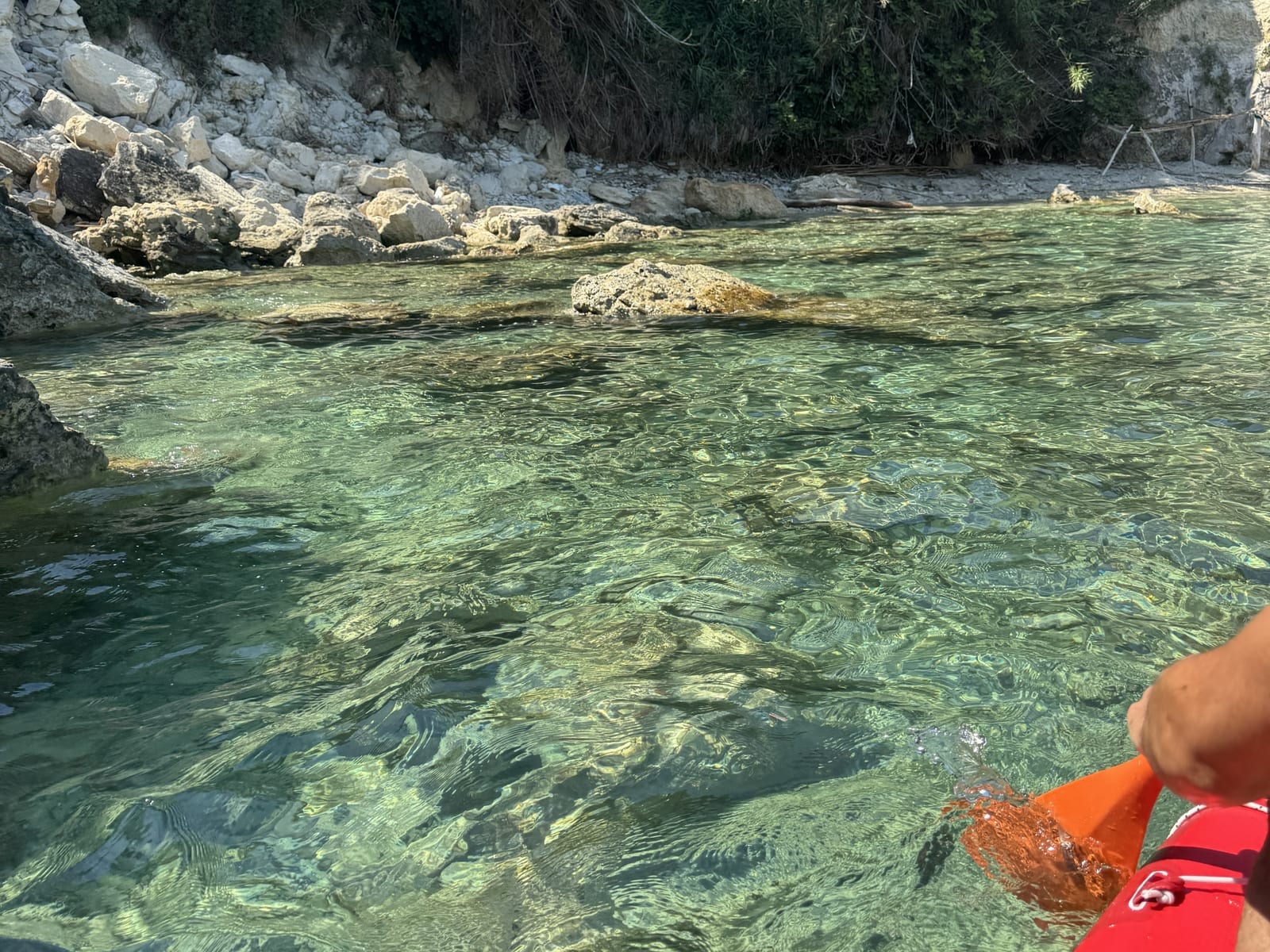 Costa adriatica, escursione privata Nord Estesa